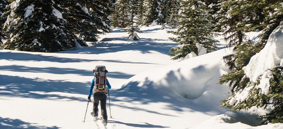 Mand på ski i norsk skov